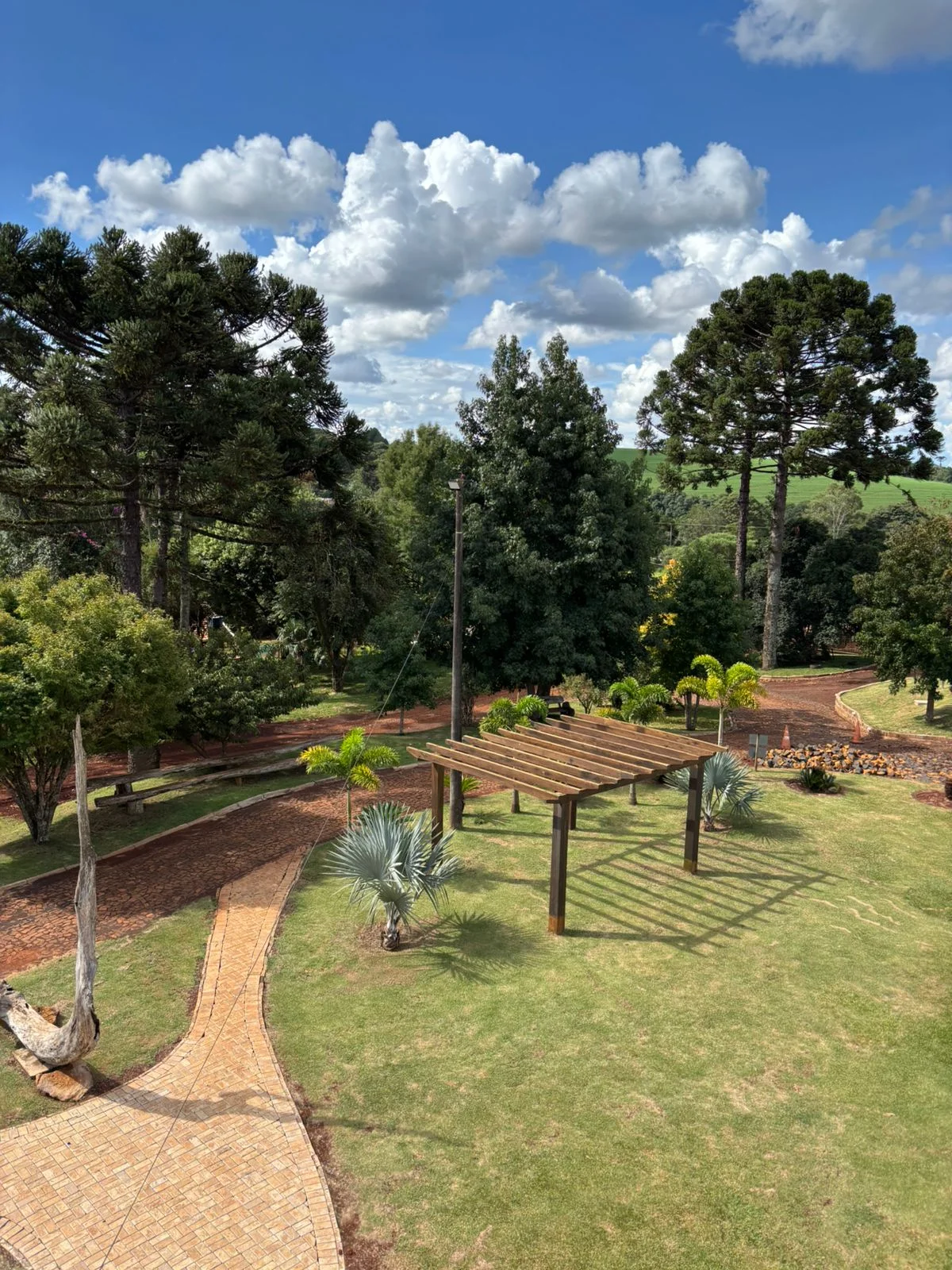 Área verde com brinquedos e árvores